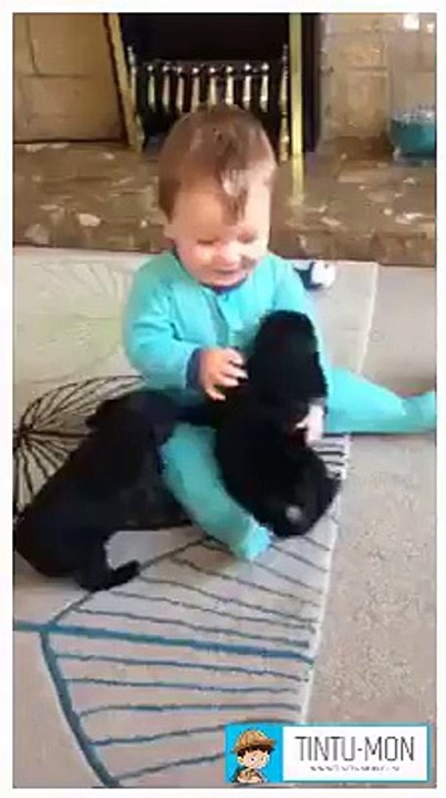 Cute baby play with dog`s puppy
