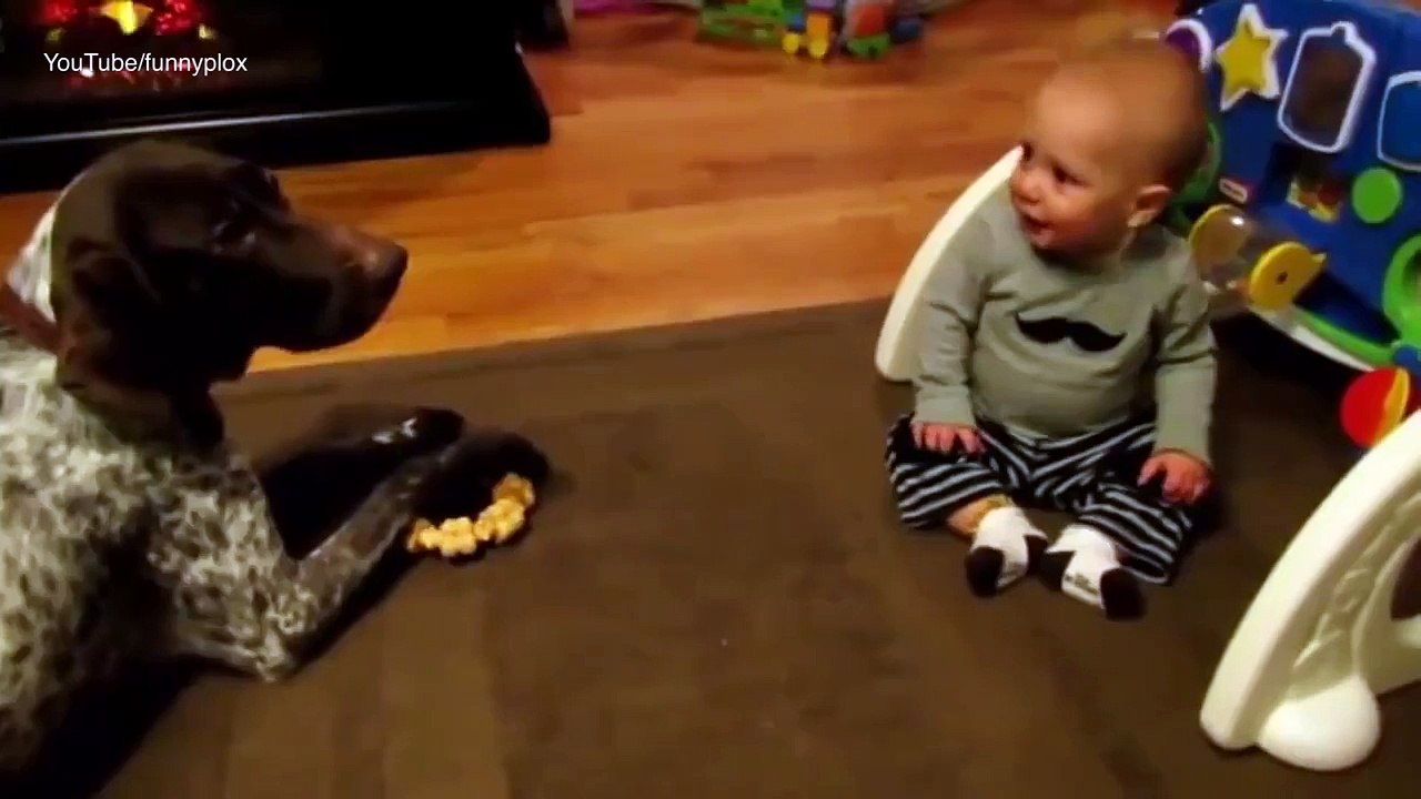 Happy Babies