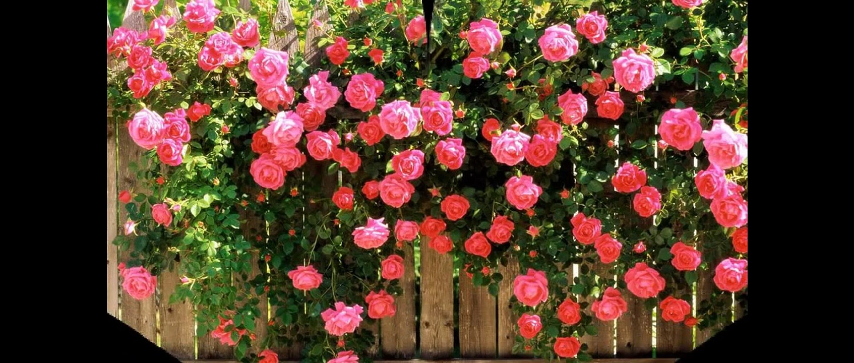 New Movies 2014-Wong Fei Hung | New Kung Fu Jet Li Full Movies 2014 English Sub Version HD p