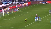 Fabio Quagliarella Goal  - Napoli 1-1 Torino - 06-01-2016