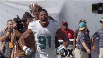 All about the Miami Dolphins