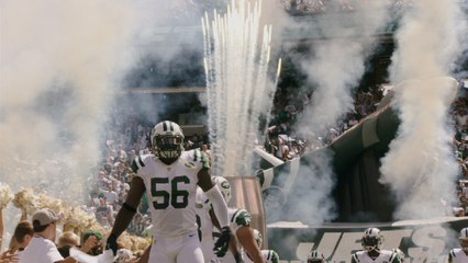 All about the New York Jets