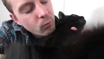 Does YOUR Cat Like Kisses-