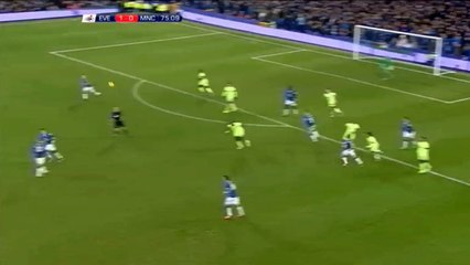Jesus Navas Goal 1:1 - Everton vs Manchester City 06.01.2015