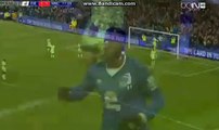 Romeru Lukaku Goal 2:1 | Everton FC vs Manchester City (Capital One Cup) 06.01.2016 HD