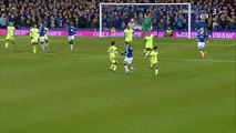 Jesús Navas Goal HD - Everton 1-1 Manchester City - 06-01-2016