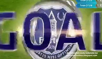 2-1 Romelu Lukaku - Everton v. Manchester City 06.01.2016 HD