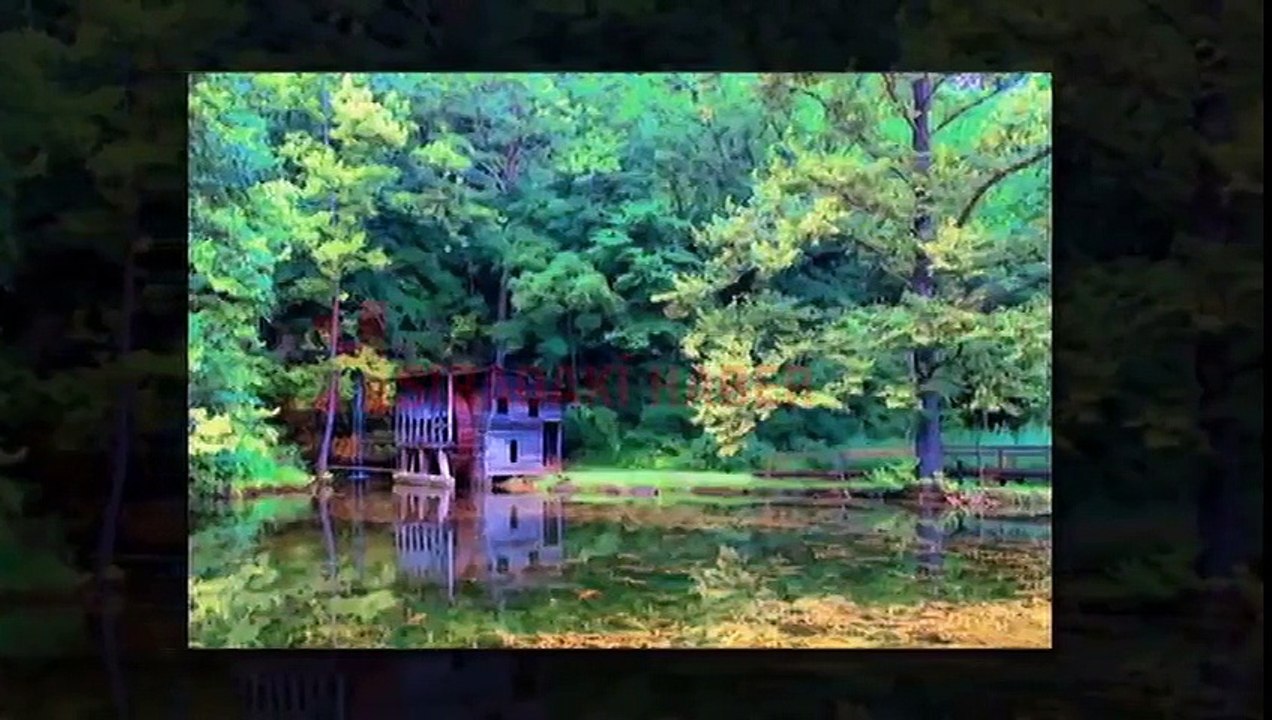 Doğa Meditasyonu - Türkçe Anlatım