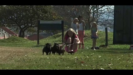 كلاب تجر لوح تزلج