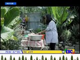 Wazema ዋዜማ Ethiopian Drama Series S02E42 Part 42