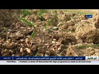 ندرة الامطار.. بين مخاوف الفلاحين و تطمينات الحكومة