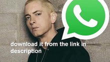 eminem Phone Number 2016