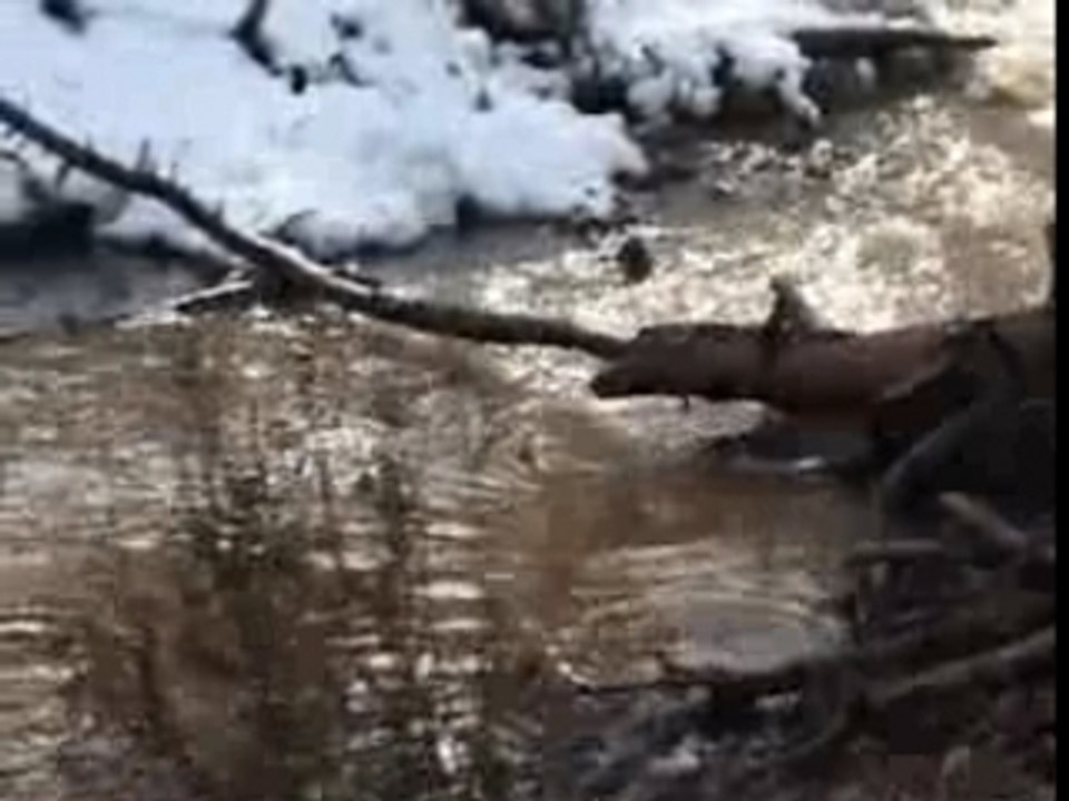 Caudales de Aguas