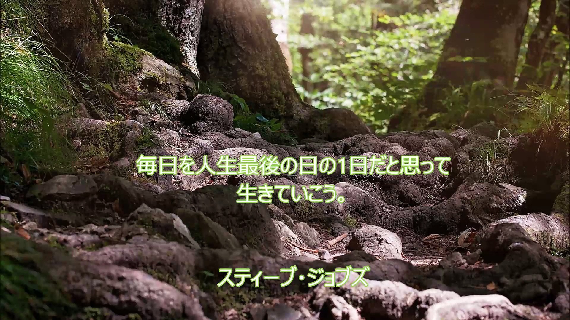 長谷川桜子 慣らし保育アドバイザー 子どもに読み聞かせたい言葉 スティーブ ジョブズ 動画 Dailymotion