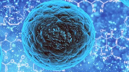 Tracing a cellular family tree (En Güncel Teknoloji Videoları)