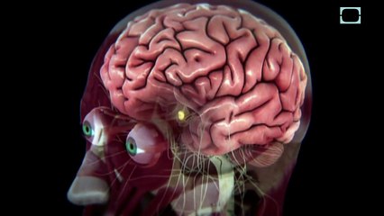 Can humans alter probability through thought alone? | CLASSIC