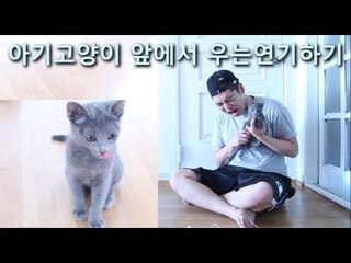 "아기고양이 앞에서 우는연기하기" - 스팀보이 (여름이감수성테스트)