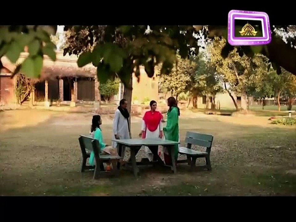 Zindagi Mujhay Tera Pata Chahiye 38 on Ptv Home