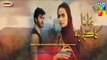 Ishq Bacha Hai Bigra Hua by Nabeel Shaukat Ali OST Mana Ka Gharana, Top Hits Pakistani song 2016