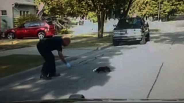 Animal Control Gets Skunk Sprayed