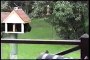 Black Bear Climbs Into A Bird House