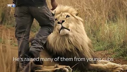 This man has an unbelievable relationship with lions.