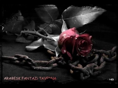 Koptum bu gece