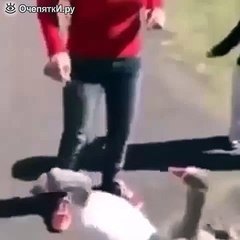 Гусь выбрал самое уязвимое место