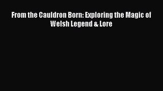 Download From the Cauldron Born: Exploring the Magic of Welsh Legend & Lore PDF Free