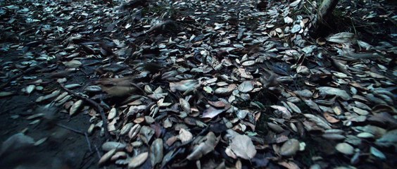 The Conjuring 2: Haunted House Thriller 🕯️