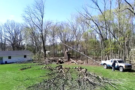 Il coupe un arbre et le fait tomber sur sa maison... Oups