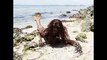 Real Mermaid Found Proof of Mermaids Existence Video Dailymotion