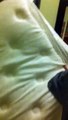 Terrible: Couple Share Their Horrific Bed Bug Experience In A NYC Hotel!