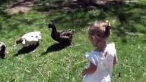 baby blows kisses to ducks