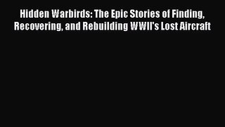 Hidden Warbirds: The Epic Stories of Finding Recovering and Rebuilding WWII's Lost Aircraft