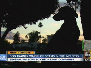Valley dog trainer warns of scams in industry