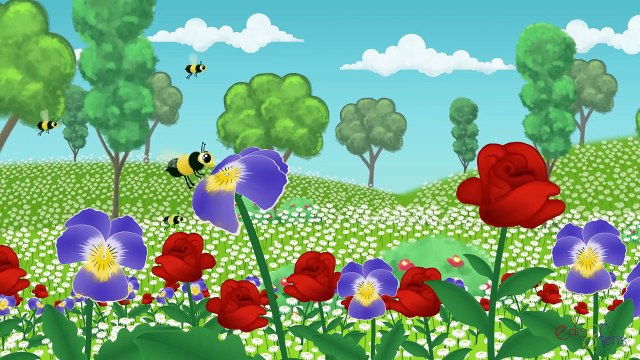 Kırmızı Balık | Kırmızı Balık Gölde | Çocuk Şarkıları | Edis ile Feris