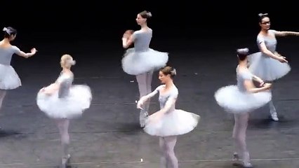 Vienna State Opera, funny ballet