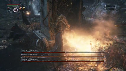 Shadows of Yharnam - no lvling run