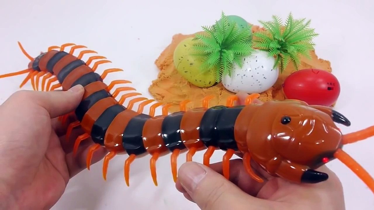 Realistic Giant Scolopendra Wireless Remote Control Toy Review