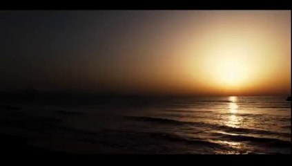 Elche sol y palmeras Homenaje a mi tierra