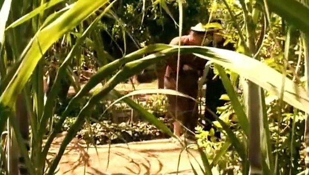 Hài Kịch Hắc Bạch Công Tử - Vân Sơn, Hoài Linh, Hồng Đào, Bé mập, Út mập