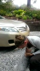 Ce chien tombe dans les pommes après avoir retrouvé sa maîtresse