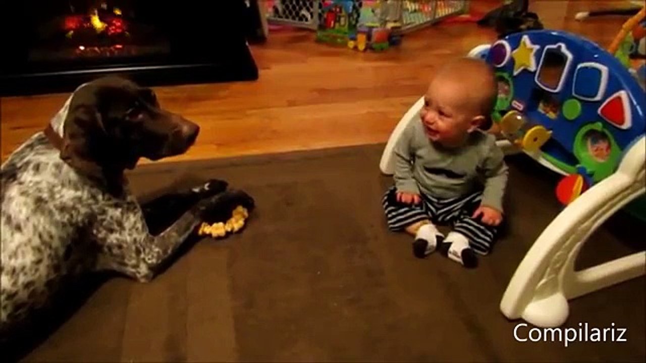 Babies Laughing at Dogs Compilation
