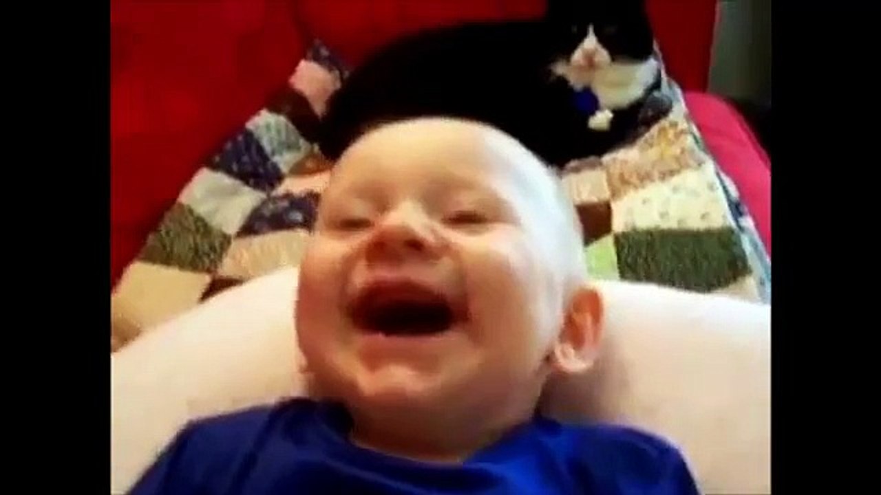 Funny Videos Of Babies Laughing And Farting