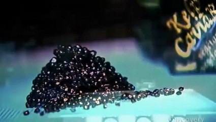 How Its Made 709 Kelp Caviar