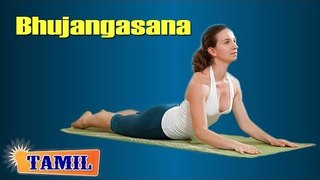 Bhujangasana For Stress Relief - To Bust Stress - Treatment, Tips & Cure in Tamil