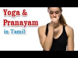 Yoga And Pranayam - Health Wellness ,Yoga Breathing and Diet Tips in Tamil