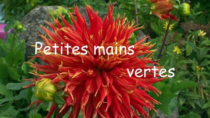 Je suis les Petites Mains Vertes