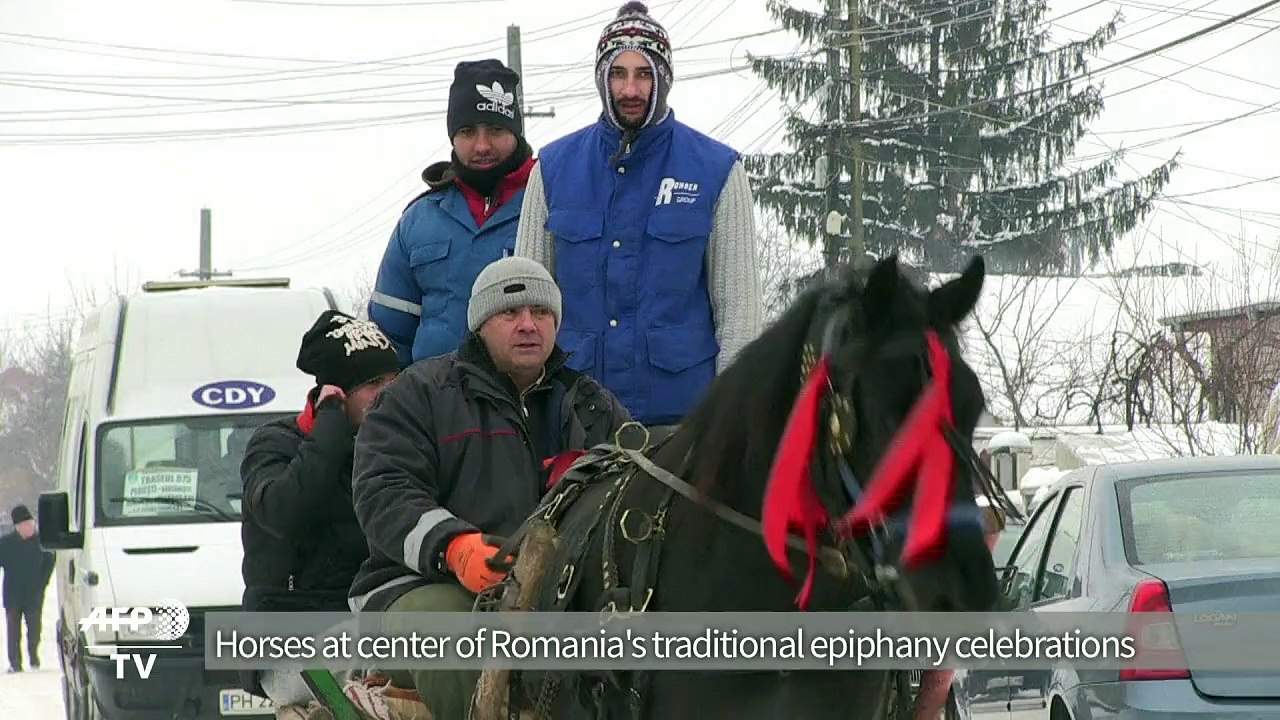 Equine blessings as Romania celebrates Epiphany